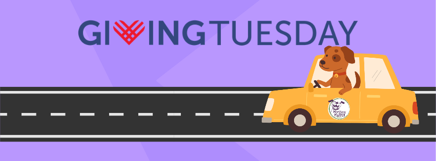 Campaign cover image for GIVING TUESDAY!