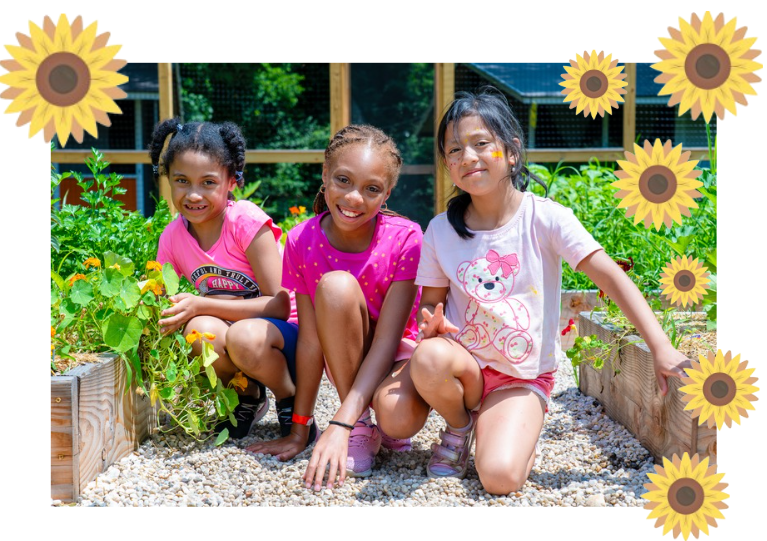 Campaign cover image for Her Summer, Our Mission