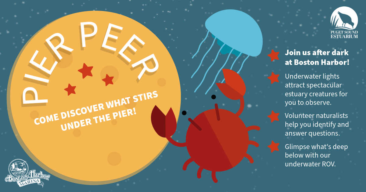 Campaign cover image for Pier Peer @ Boston Harbor Marina MAY 2026