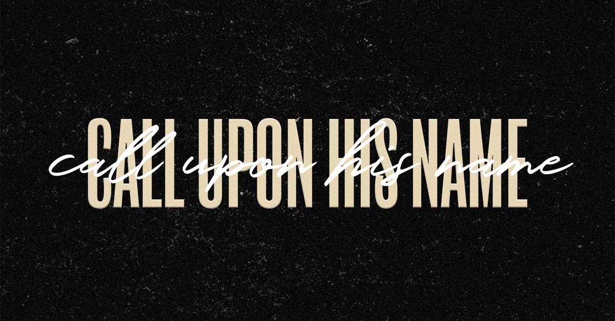 Campaign cover image for REMNANT RISING