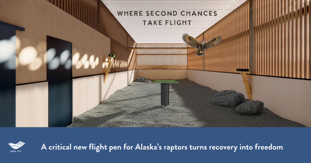 Campaign cover image for Where Second Chances Take Flight