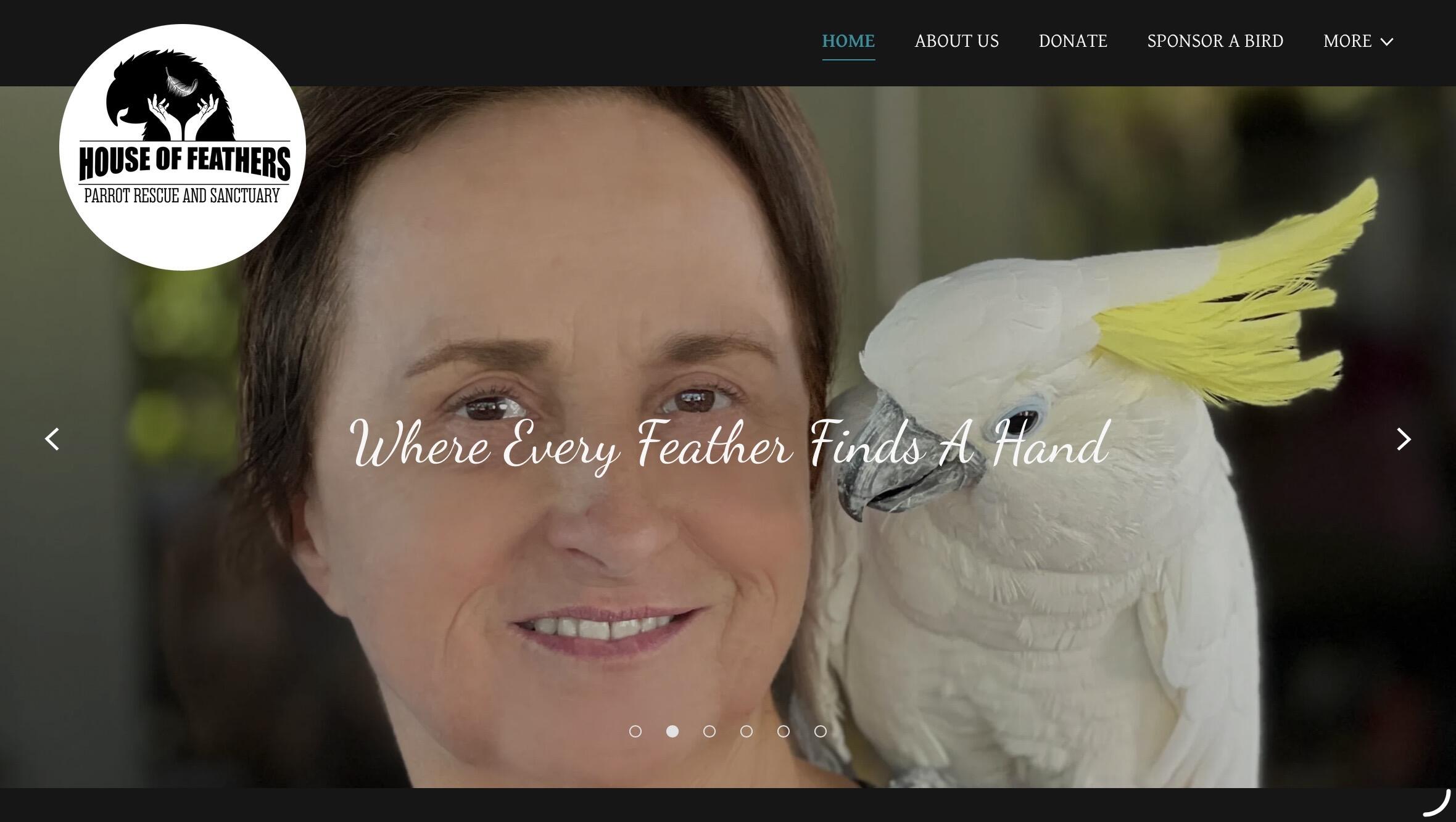 Campaign cover for Bird Sponsorship