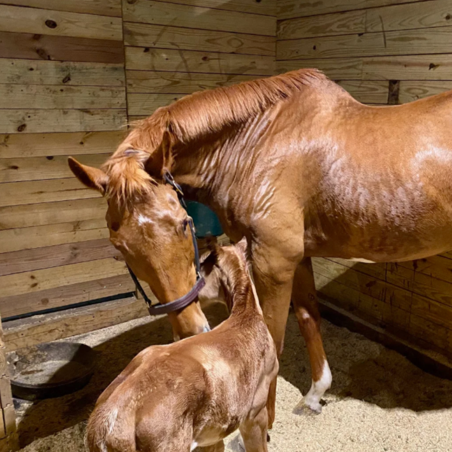 Campaign cover image for Sponsor Spot