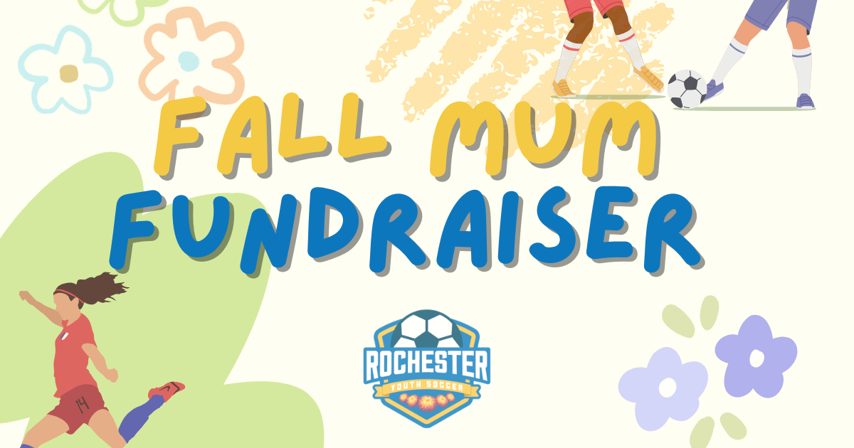 Campaign cover image for Fall Mum Flower Fundraiser