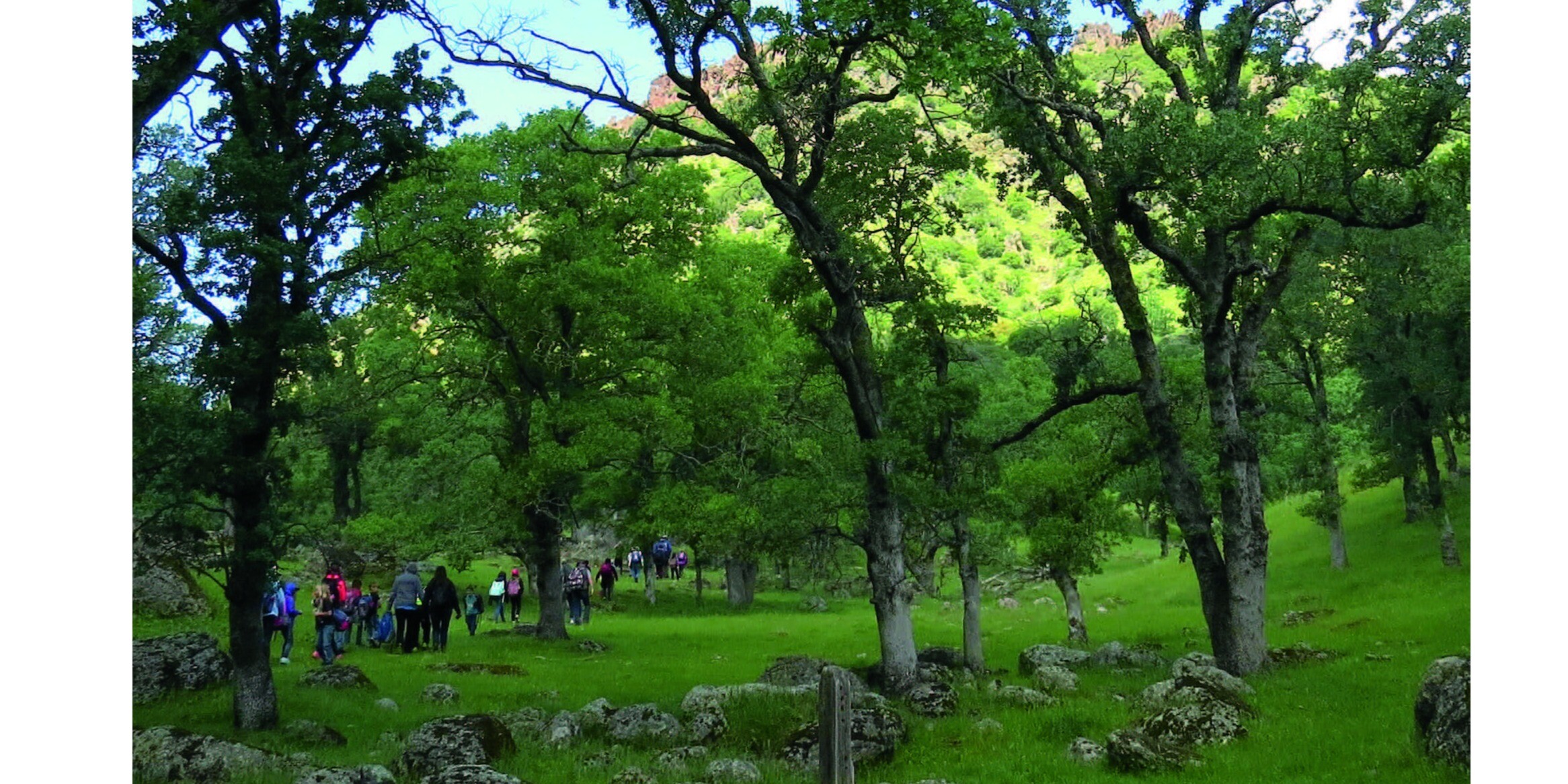 Corporate Two Charter Hike Certificates Newsletters Event Notification corporate-two-charter-hike-certificates-newsletters-event-notification