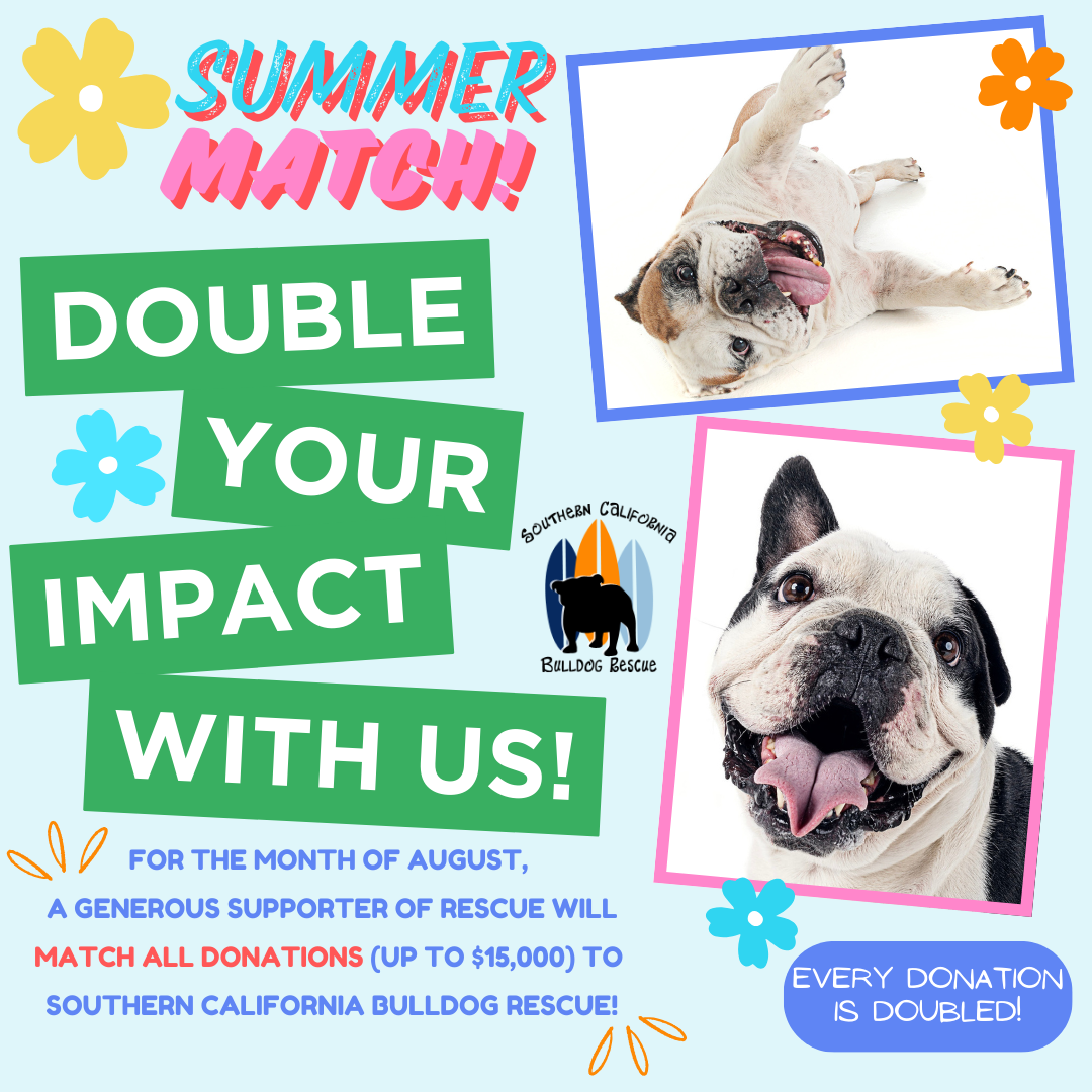Campaign cover image for Summer Matching Donations!