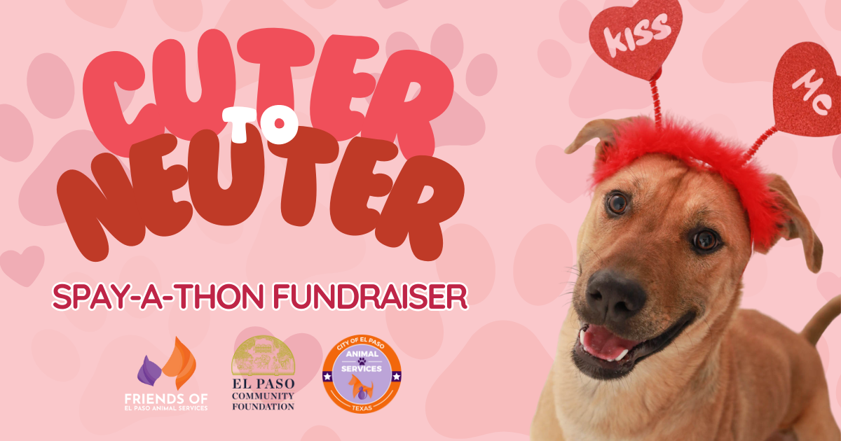 Campaign cover image for Cuter to Neuter