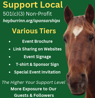 Campaign cover image for Business Sponsorship Opportunities