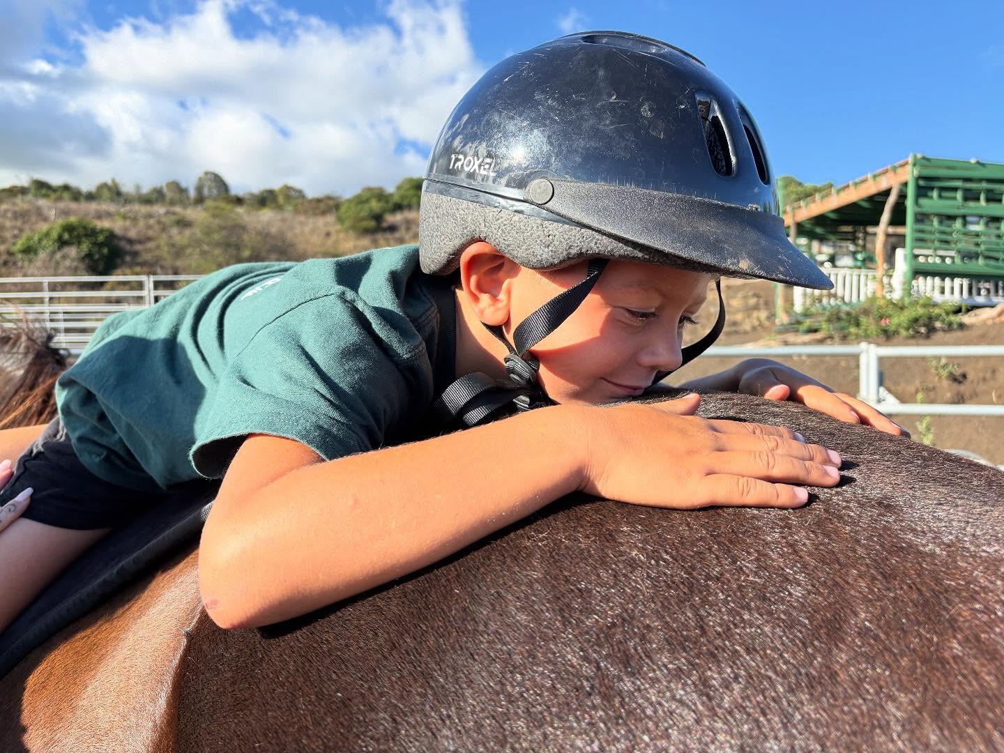 Campaign cover image for Keep The Spirit Horse Ranch Open For Maui
