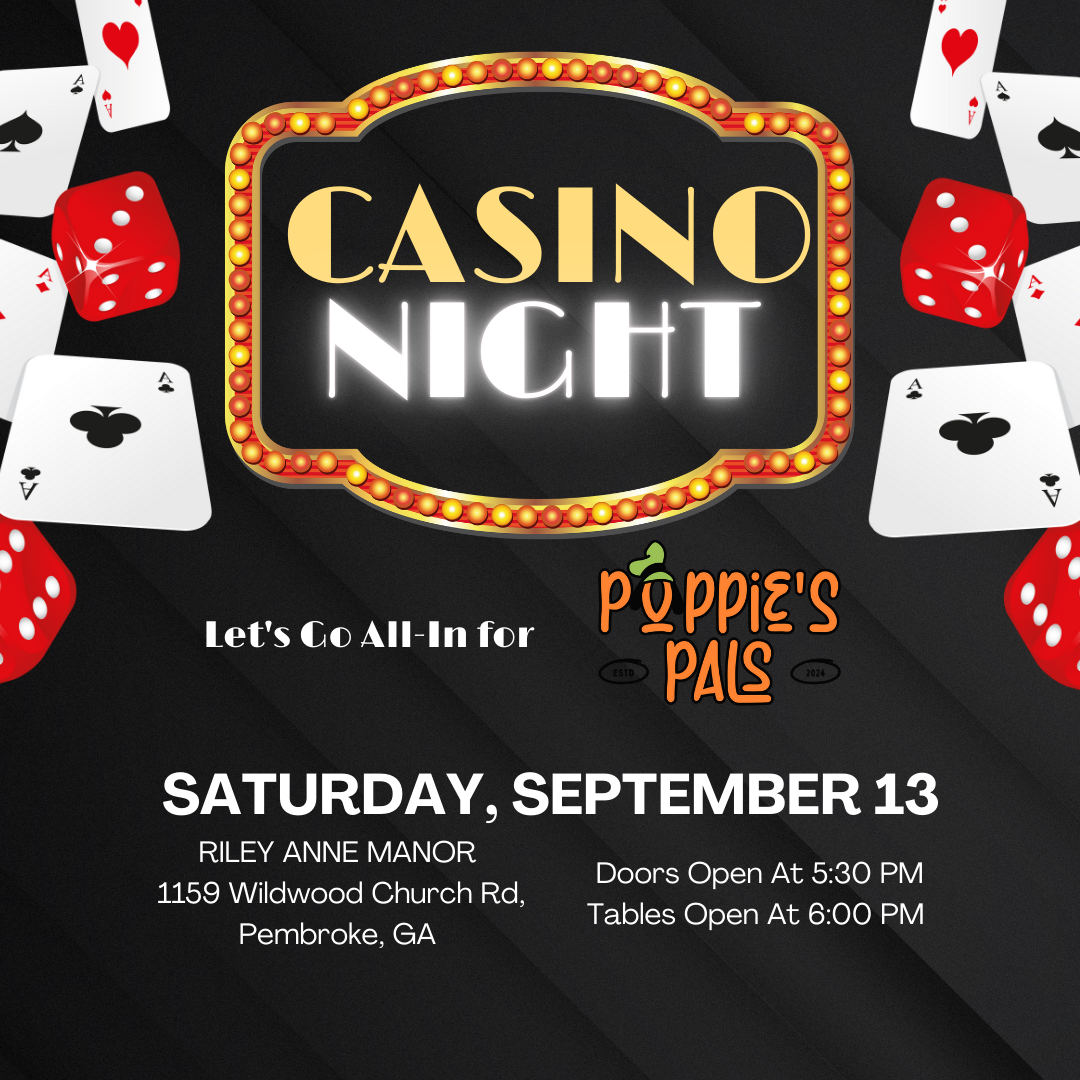 Campaign cover image for Poppie's Pals All in for A Place to Play - Casino Night