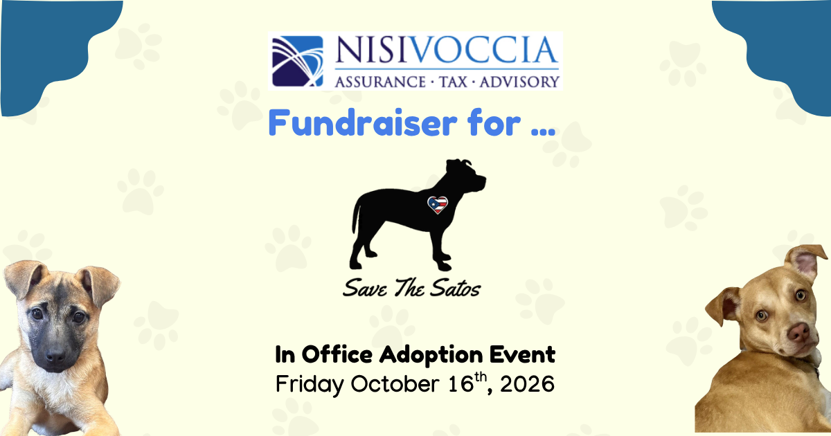 Campaign cover image for Nisivoccia Fundraiser for Save The Satos