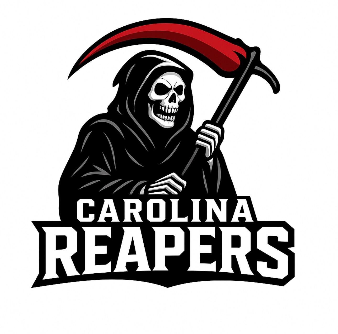 Campaign cover image for Carolina Reapers Foundation