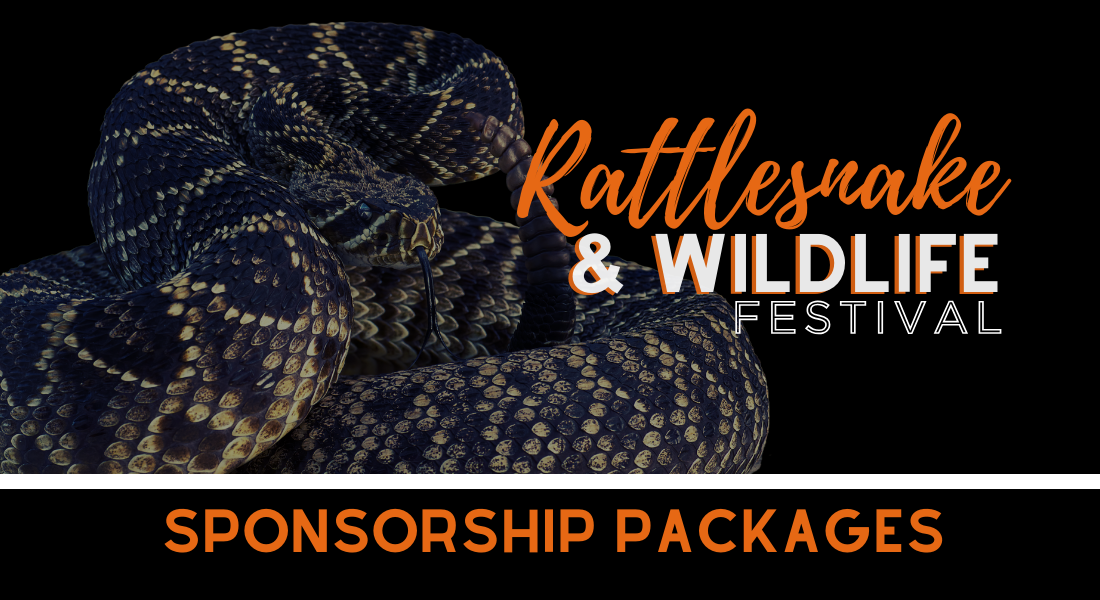 Campaign cover image for 2026 Rattlesnake & Wildlife Festival Sponsorship Opportunity