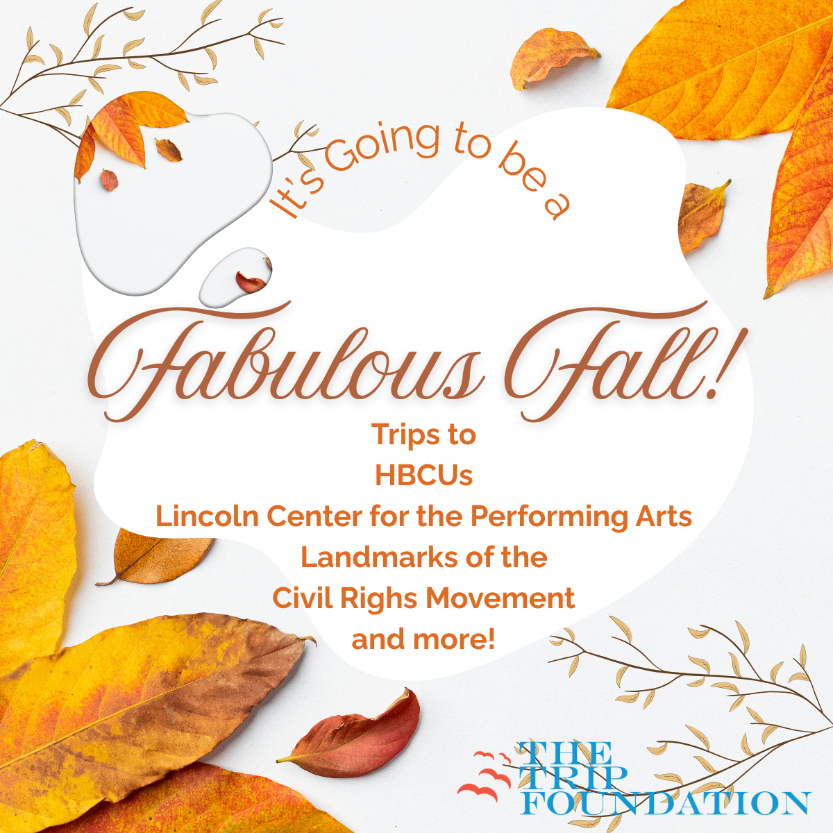 Campaign cover image for Fabulous Fall!