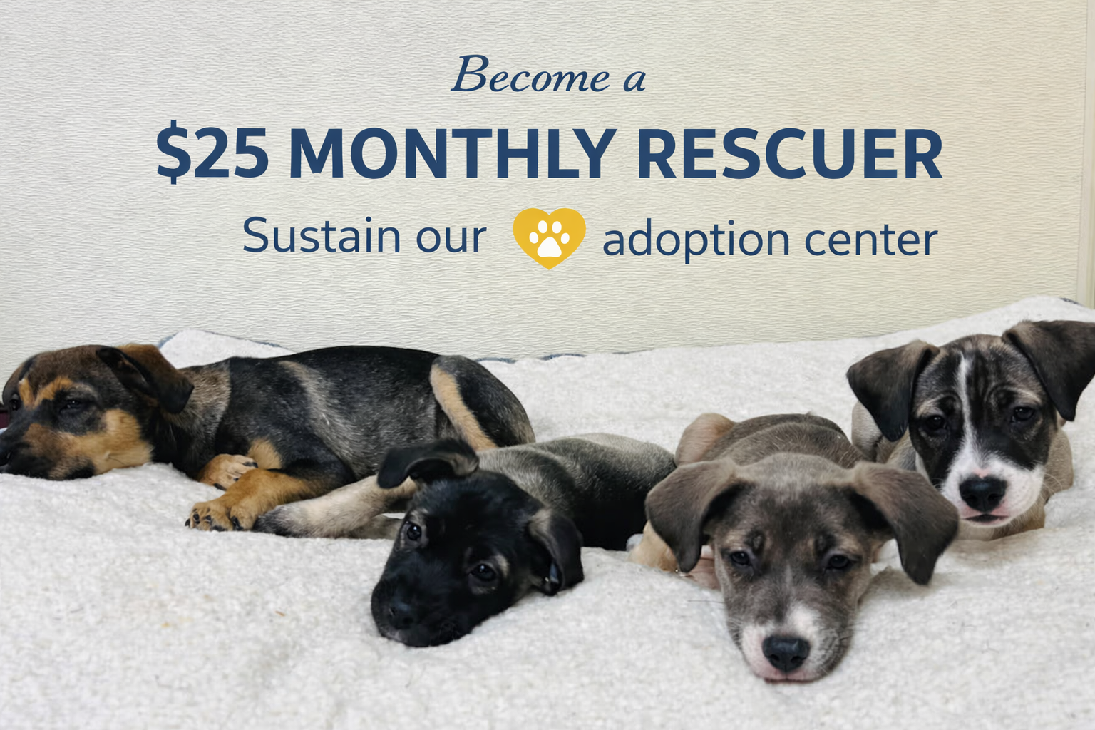 Campaign cover image for Become A Monthly Donor