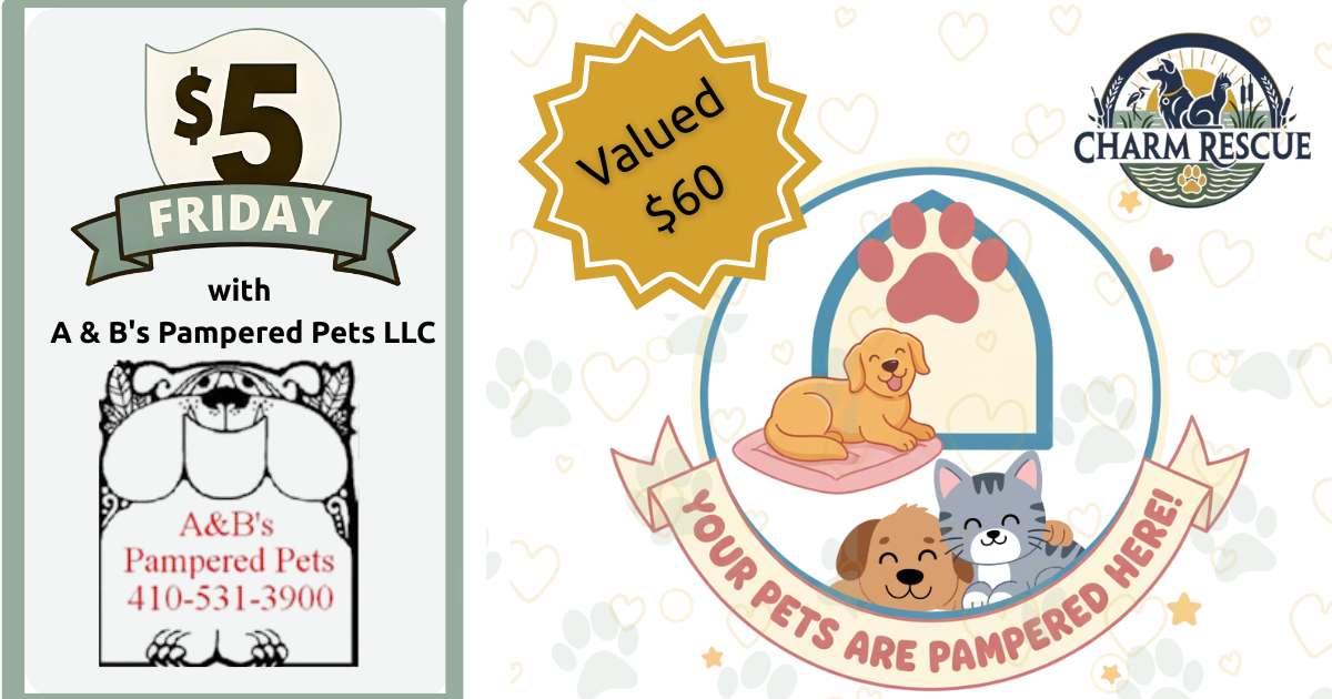 Campaign cover image for 🐾 $5 Friday: $60 Gift Certificate for Personalized Pet Care!