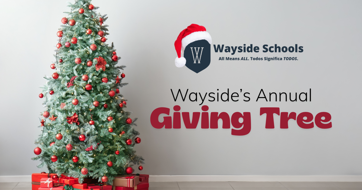 Campaign cover image for Wayside Schools Foundation 6th Annual Giving Tree