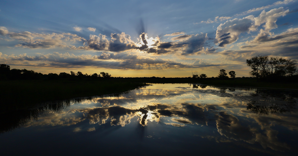 Campaign cover image for Earth Buddies with the Family
