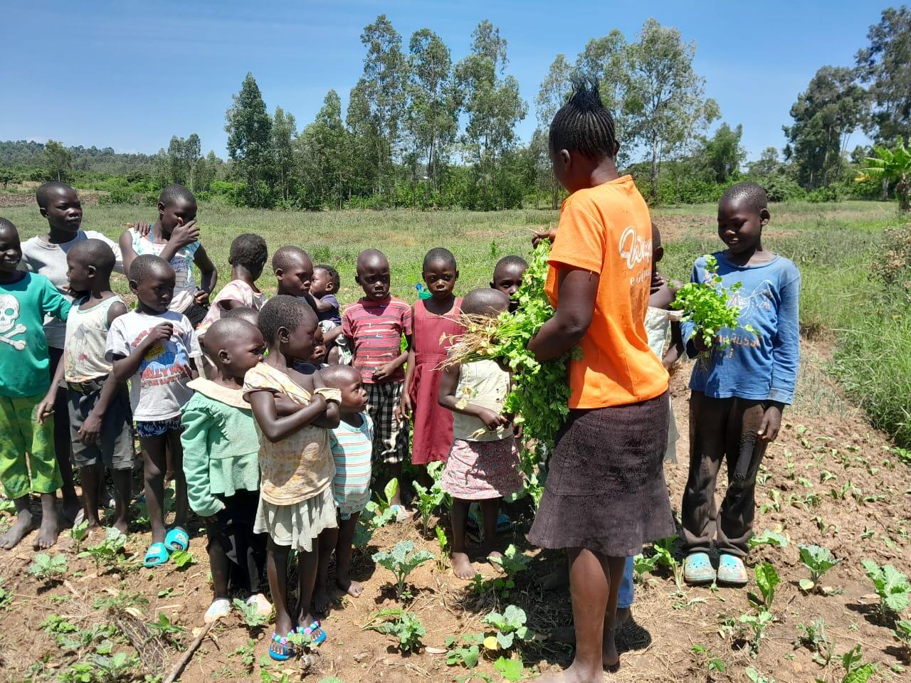 Campaign cover image for 🌱 Support Polo Roseline & Happy Organic Farm