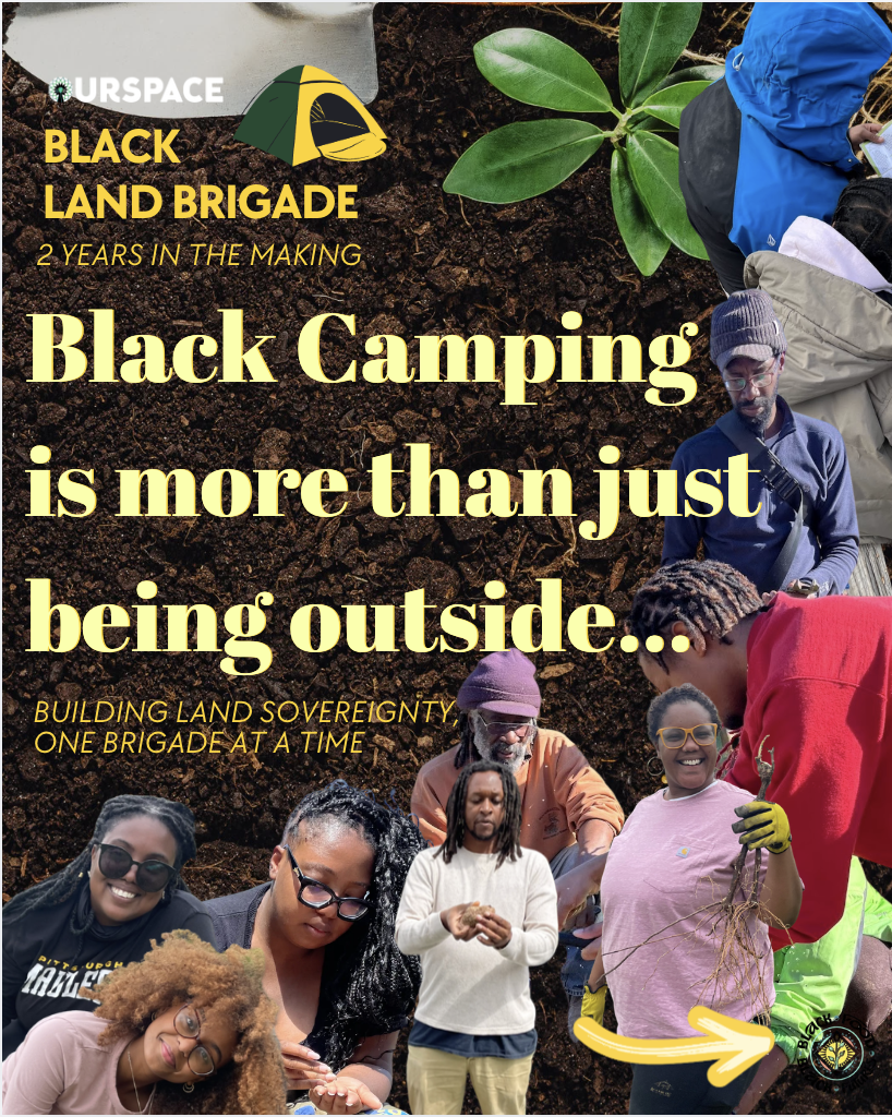 Campaign cover image for Black Land Brigade: Training the Next Generation of Land Stewards and Earth Healers
