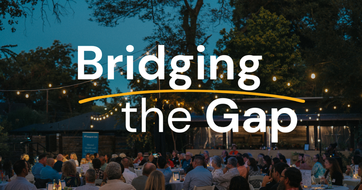 Campaign cover image for Bridging the Gap
