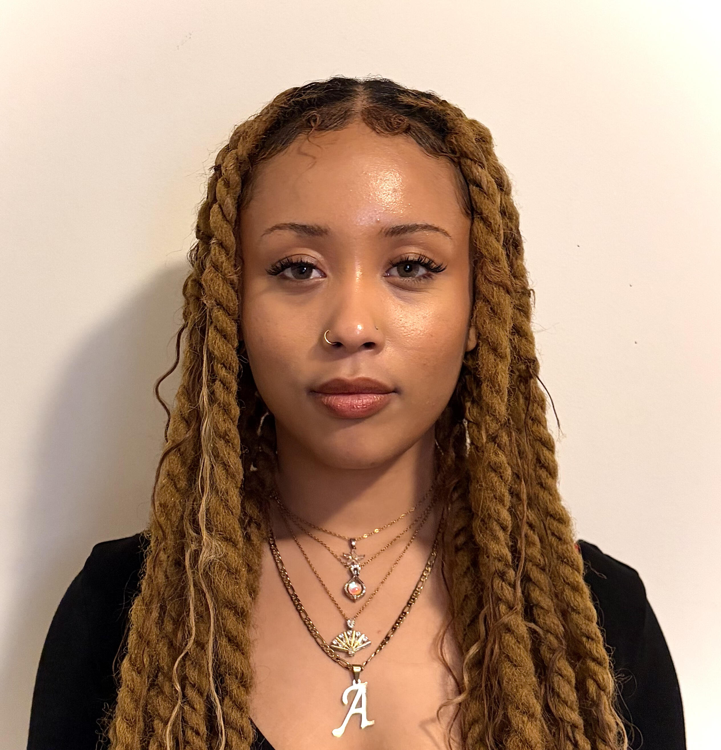 Campaign cover image for Ayumi's Dream Experience