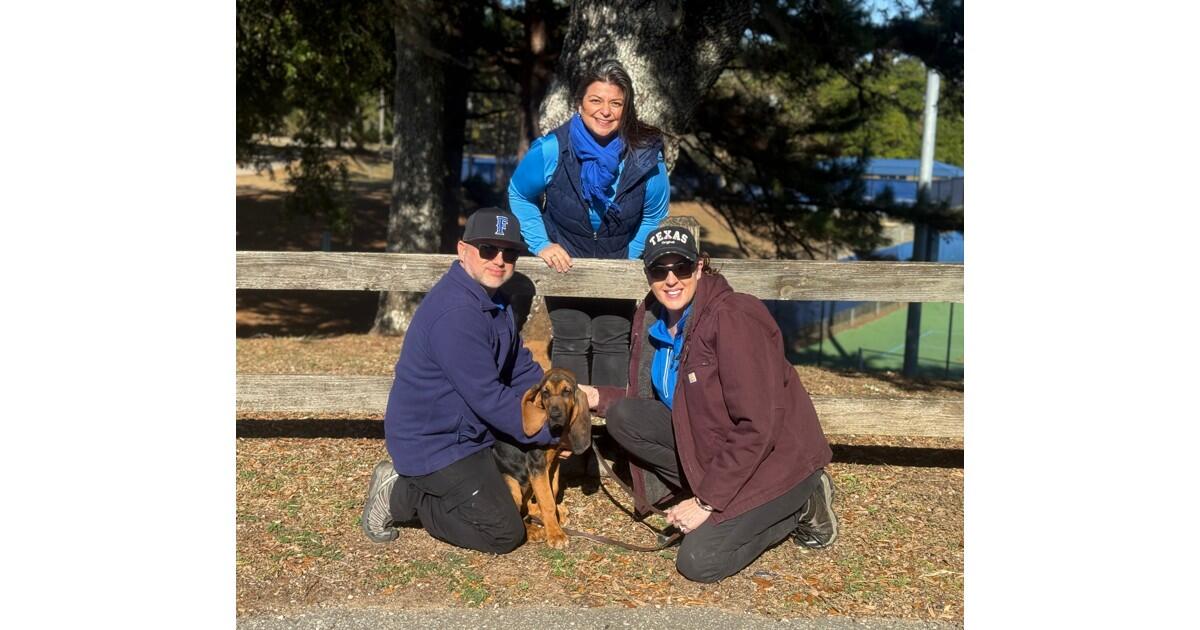 Campaign cover image for K9 Skye Blue Fundraiser