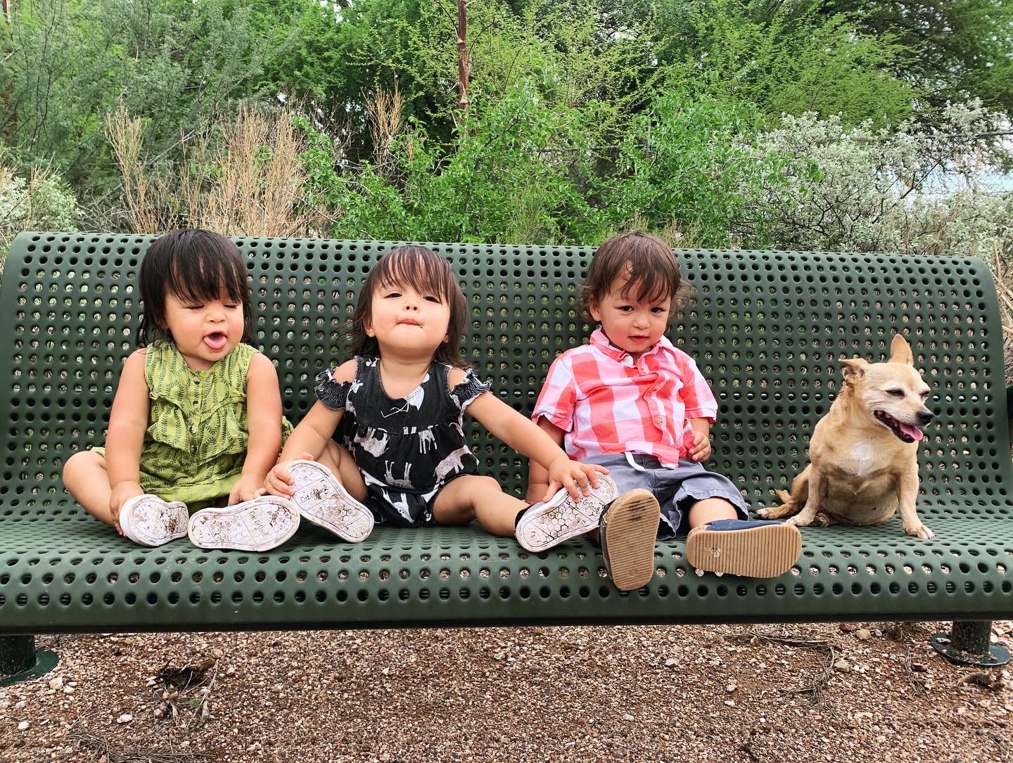 Campaign cover image for Child Care fund for Sotelo Triplets