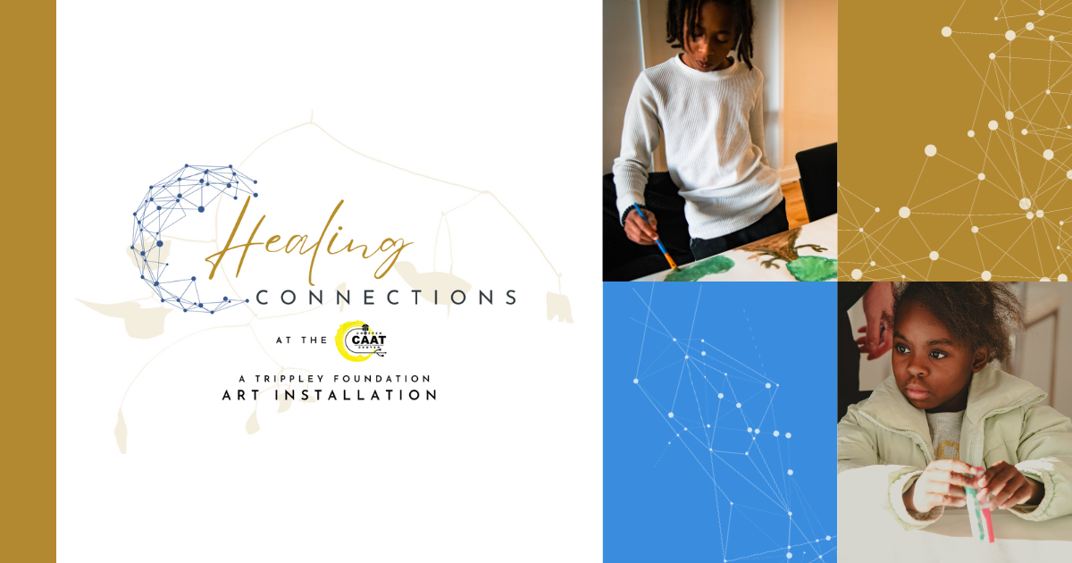 Campaign cover image for Healing Connections