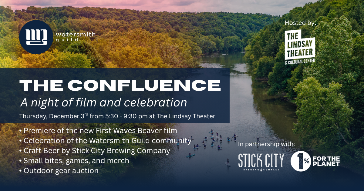 Campaign cover image for The Confluence