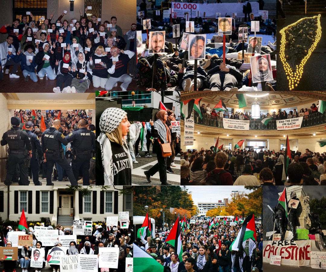 Campaign cover image for Funding for SAFE 2024 Activism + Programming