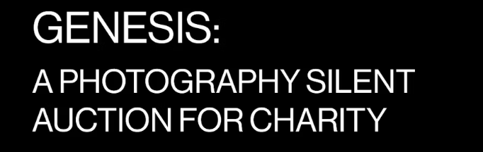 Campaign cover image for GENESIS: A photography silent auction for charity