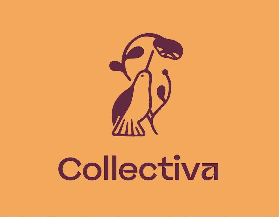 Campaign cover image for Collectiva Seed Funding Days