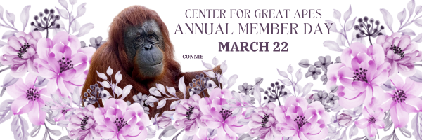 Campaign cover image for Spring Member Day