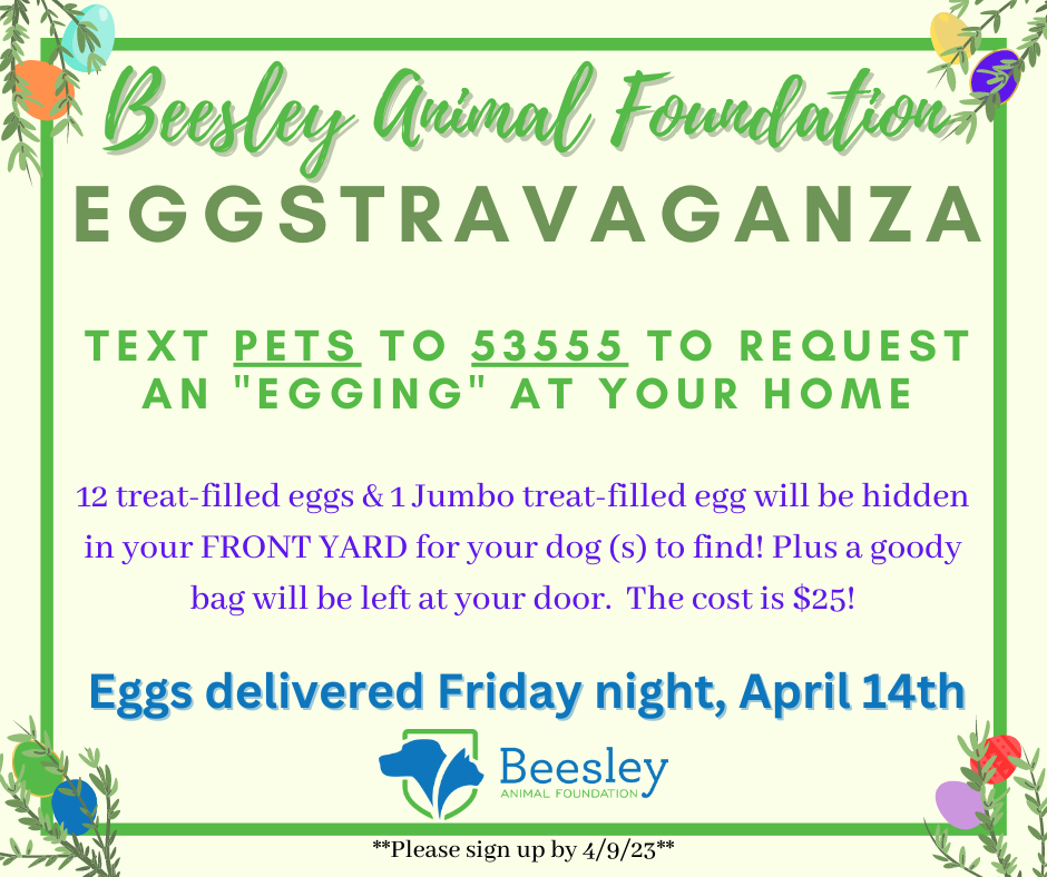 Campaign cover image for Spring Eggstravaganza