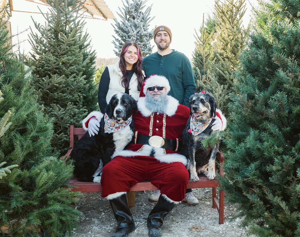 Campaign cover image for Big Paws Christmas Minis 2025