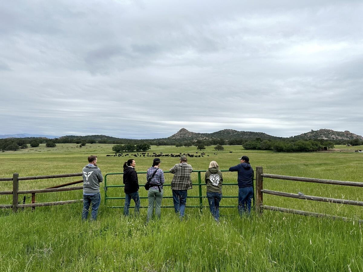 Campaign cover image for YOU CAN MAKE A DIFFERENCE