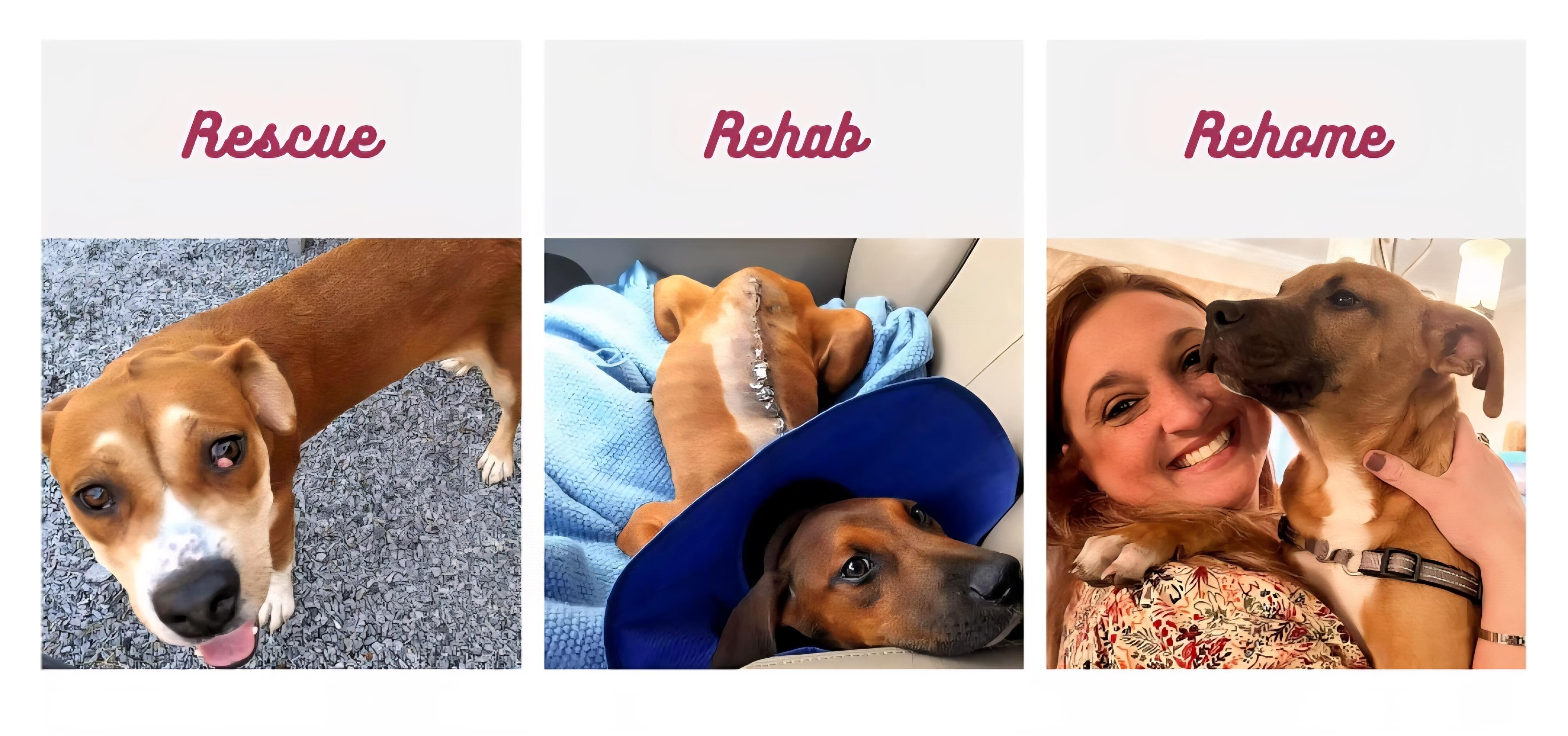 Campaign cover image for Pitt Friends Silent Auction