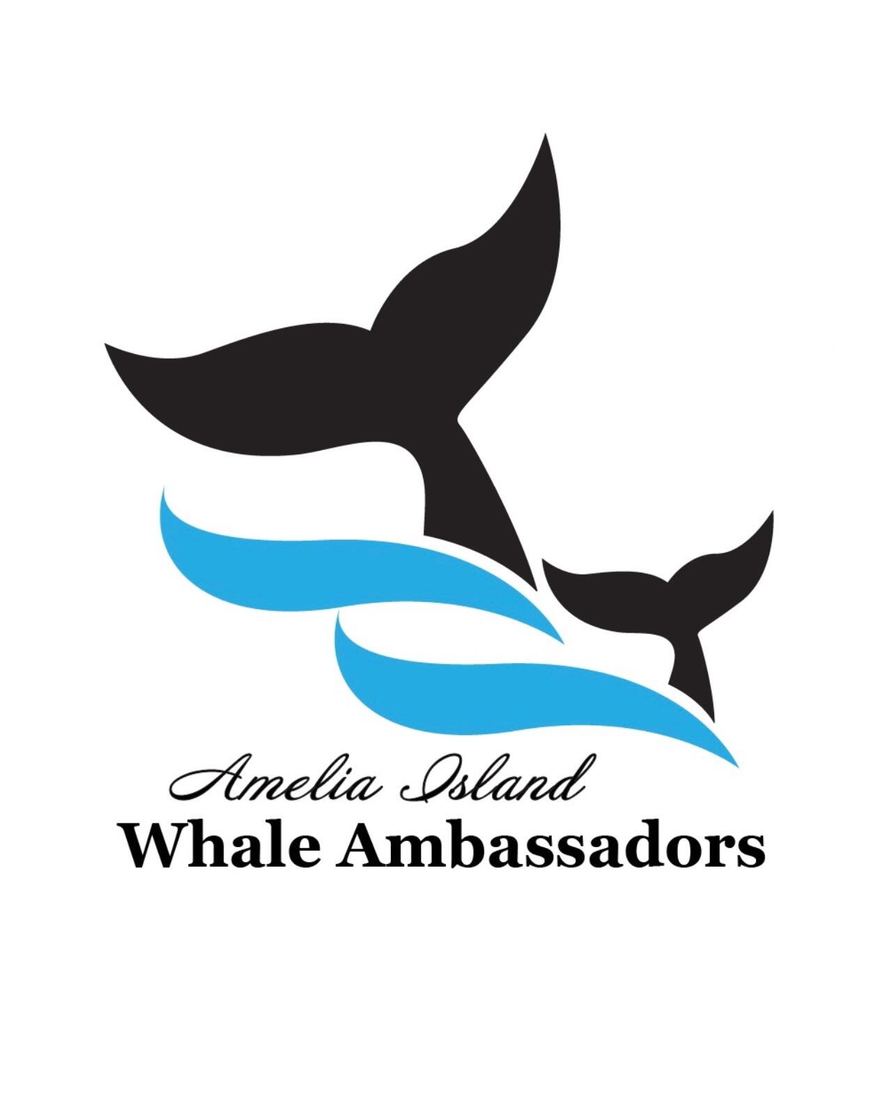 Campaign cover image for Donate to Amelia Island Whale Ambassadors