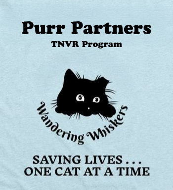 Campaign cover image for Wandering Whiskers