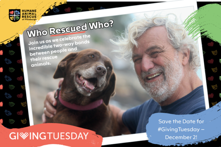 Campaign cover image for Giving Tuesday: December 2, 2025