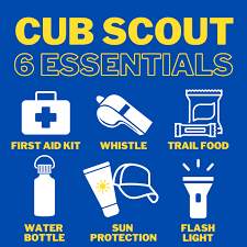 Campaign cover image for Cub Scout 6 Essentials Engagement Program