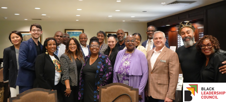 Campaign cover image for Black Leadership Council (BLC) Advocacy Day and Board Match