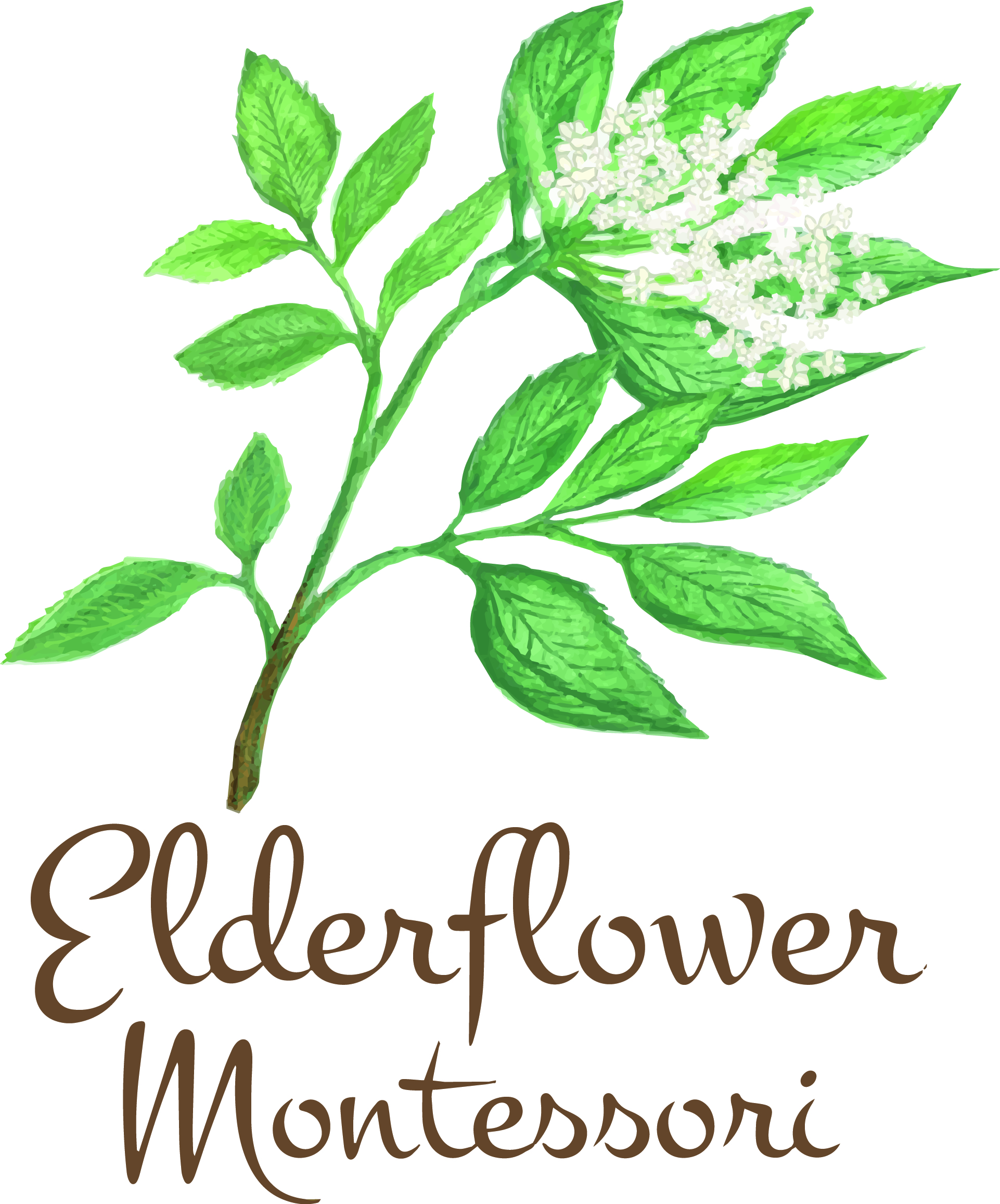 Campaign cover image for Elderflower Montessori School Start-up Campaign