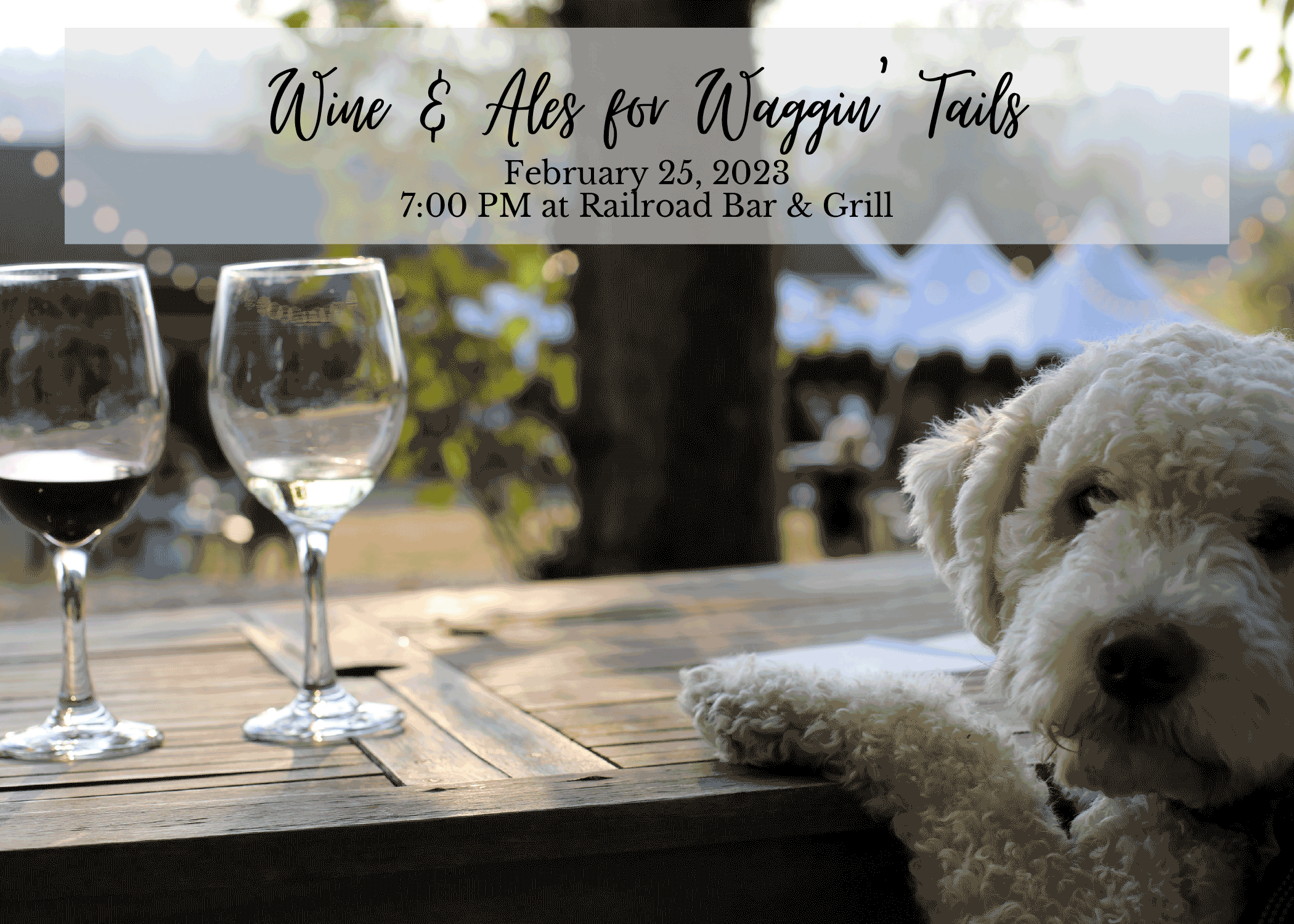 Campaign cover image for Wine & Ales for Waggin’ Tails