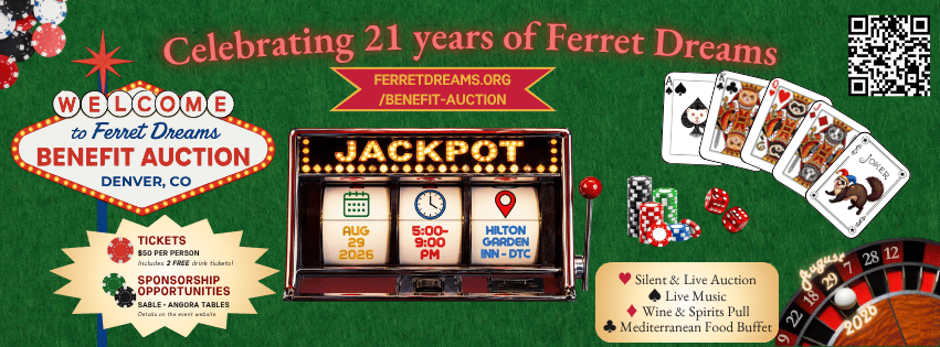 Campaign cover image for Ferret Dreams 2026 Annual Benefit Auction