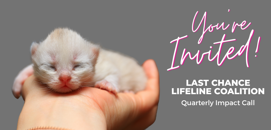 Campaign cover image for Last Chance Lifeline Coalition Q3 Call