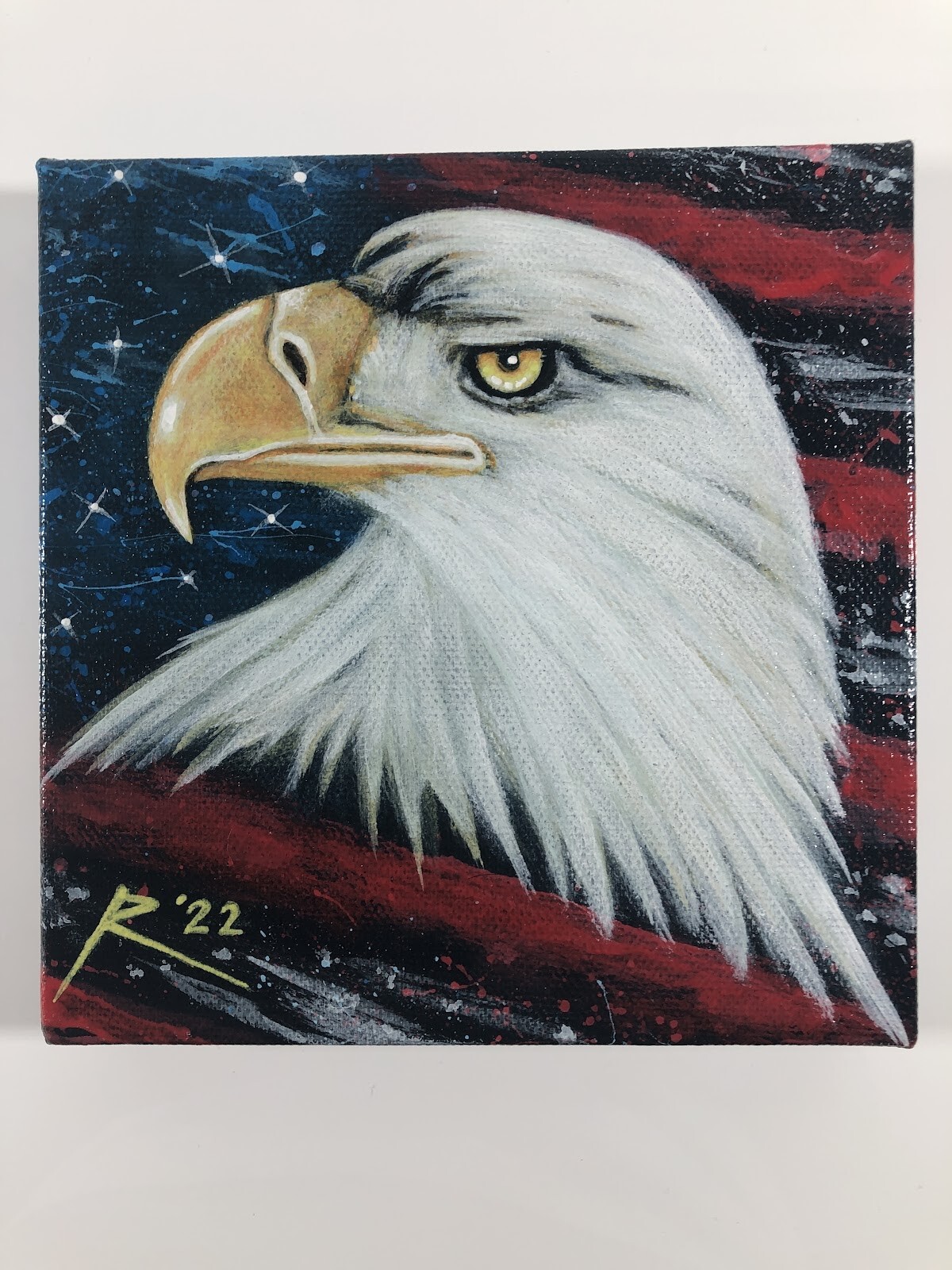 Campaign cover image for Kit - Eagle