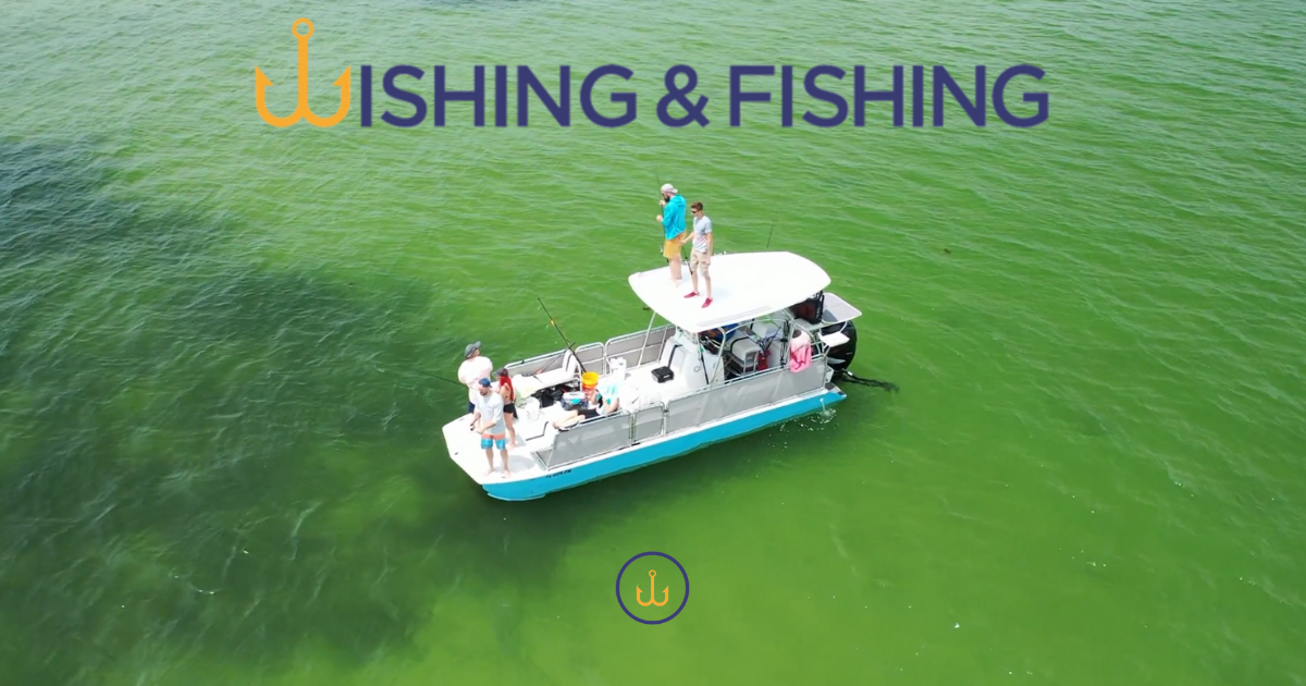 Campaign cover image for Campaign Ended