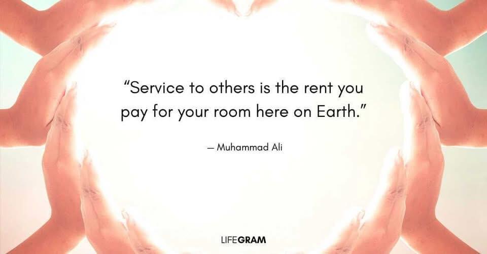 Campaign cover image for Donations to Angels Among Us